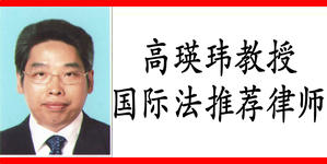 河南程功律师事务所国际法推荐律师——高瑛玮律师
